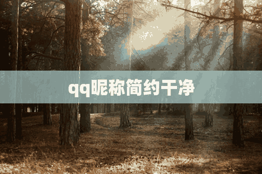 qq昵称简约干净(qq昵称简约干净男生)